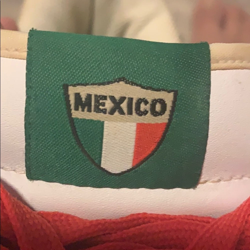 Mexico Air Force one - Picture 6 of 12